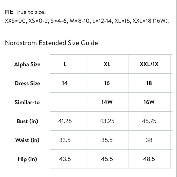 NWT Nordstrom V-Neck Tank - Picture 9 of 10